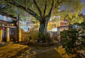 Hanoi 18h6h 53 – Tan Khai Temple Tree Inside